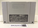 SK5253 Donald in Maui Mallard in Cold Shadow Nintendo Super Famicom SNES Japan