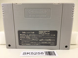 SK5258 Mickey & Minnie Magical Adventure 2 Nintendo Super Famicom SNES Japan