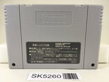 SK5260 The Lion King Nintendo Super Famicom SNES Japan