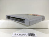 SK5260 The Lion King Nintendo Super Famicom SNES Japan