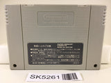SK5261 The Lion King Nintendo Super Famicom SNES Japan