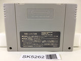 SK5262 Alice no Paint Adventure Nintendo Super Famicom SNES Japan