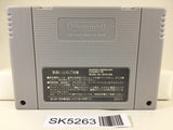 SK5263 Alice no Paint Adventure Nintendo Super Famicom SNES Japan