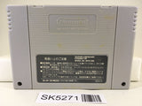 SK5271 Super Shanghai Dragon's Eye Nintendo Super Famicom SNES Japan