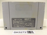 SK5272 Kikuni MasahikoNo Jyantoushi Doraoh Mahjong Super Famicom SNES Japan