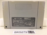 SK5279 Captain Tsubasa IV 4 Pro no Rivaltachi Nintendo Super Famicom SNES Japan