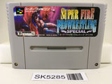 SK5285 Super Fire Pro Wrestling Special Nintendo Super Famicom SNES Japan