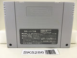 SK5286 Tsuppari Oozumou Sumo Risshin Shusse Hen Super Famicom SNES Japan