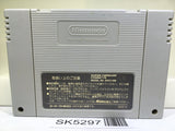 Super Bomberman Panic Bomber World Nintendo Super Famicom SNES Japan - SK5297