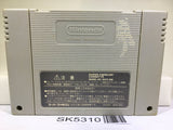 Super Donkey Kong Country 3 Nintendo Super Famicom SNES Japan - SK5310