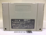 Super Donkey Kong Country 3 Nintendo Super Famicom SNES Japan - SK5312