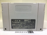 Super Donkey Kong Country 2 Nintendo Super Famicom SNES Japan - SK5313