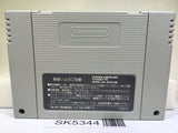 The Legend Of Zelda A Link to the Past Super Famicom SNES Japan - SK5344