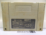 Dragon Ball Z Super Butouden Nintendo Super Famicom SNES Japan - SK5370