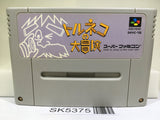 Torneco no Daibouken Fushigi no Dungeon Super Famicom SNES Japan - SK5375