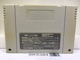 Street Fighter II 2 Turbo Nintendo Super Famicom SNES Japan - SK5384