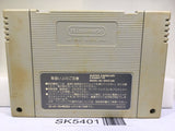 Super Fire Pro Wrestling 2 Nintendo Super Famicom SNES Japan - SK5401