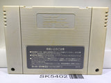 Super Fire Pro Wrestling Nintendo Super Famicom SNES Japan - SK5402