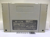 Lennus Paladin's Quest Nintendo Super Famicom SNES Japan - SK5423