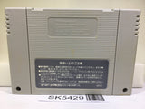 Pilotwings Nintendo Super Famicom SNES Japan - SK5429