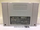 Breath of Fire 2 Shimei no Ko Nintendo Super Famicom SNES Japan - SK5438