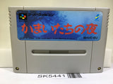 Banshee's Last Cry Kamaitachi no Yoru Nintendo Super Famicom SNES Japan - SK5441
