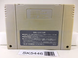 Super Mario World Nintendo Super Famicom SNES Japan - SK5446