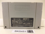 Super Donkey Kong Country Nintendo Super Famicom SNES Japan - SK5451