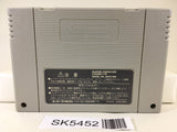 Super Donkey Kong Country 2 Nintendo Super Famicom SNES Japan - SK5452