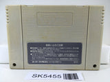 Street Fighter II 2 Turbo Nintendo Super Famicom SNES Japan - SK5455