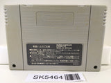 Art Of Fighting Nintendo Super Famicom SNES Japan - SK5464