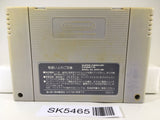 Hiryuu no Ken S Golden Fighter Nintendo Super Famicom SNES Japan - SK5465