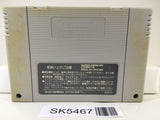 World Heroes Nintendo Super Famicom SNES Japan - SK5467
