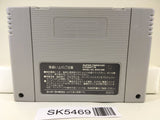 Fighter's History Nintendo Super Famicom SNES Japan - SK5469