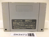 Dragon Ball Z Super Butouden Nintendo Super Famicom SNES Japan - SK5473