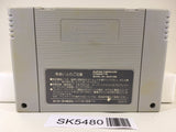 Final Fantasy 5 V Nintendo Super Famicom SNES Japan - SK5480