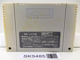 Dragon Quest V 5 Nintendo Super Famicom SNES Japan - SK5485
