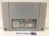 Dragon Quest V 5 Nintendo Super Famicom SNES Japan - SK5486