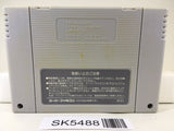 The Legend Of Zelda A Link to the Past Super Famicom SNES Japan - SK5488