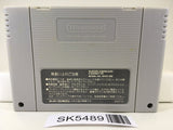 The Legend Of Zelda A Link to the Past Super Famicom SNES Japan - SK5489