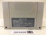 Jerry Boy Smart Ball Nintendo Super Famicom SNES Japan - SK5498