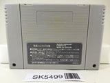 Prince Of Persia Nintendo Super Famicom SNES Japan - SK5499