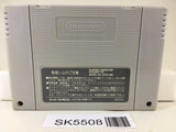 Sword World SFC Nintendo Super Famicom SNES Japan - SK5508
