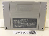 Drakkhen Nintendo Super Famicom SNES Japan - SK5509