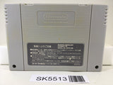 Operation Europe Sensen Path to Victory Super Famicom SNES Japan - SK5513