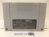Bahamut Lagoon Nintendo Super Famicom SNES Japan - SK5514