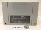 Bahamut Lagoon Nintendo Super Famicom SNES Japan - SK5515