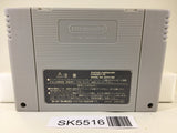 Mystery Dungeon Fushigi no Dungeon 2 Nintendo Super Famicom SNES Japan - SK5516