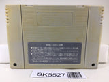 Populous Nintendo Super Famicom SNES Japan - SK5527