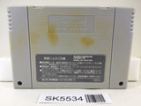 Super R Type Nintendo Super Famicom SNES Japan - SK5534